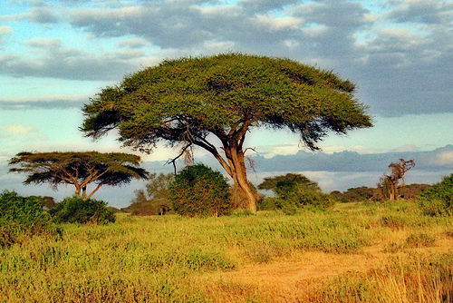 Kimana Wildlife Sanctuary